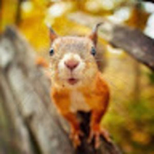 Meet your Posher, Adriana